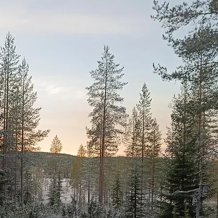 Varpu * Syöte